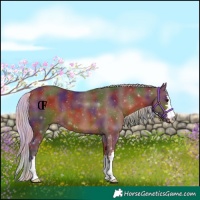 Horse Color:Nacre Silver Brown 