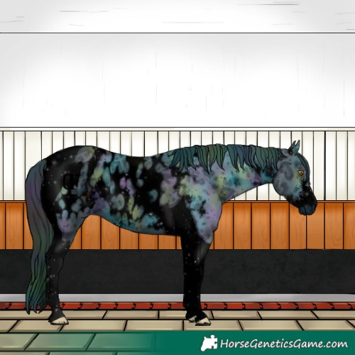 Horse Color:ERROR: UNKNOWN ANOMALY