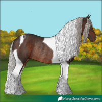 Horse Color:Silver Brown Tobiano Rabicano