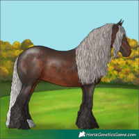 Horse Color:Silver Brown Rabicano 
