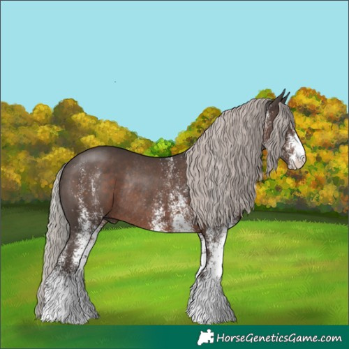 Horse Color:White Spotted Silver Black Rabicano 