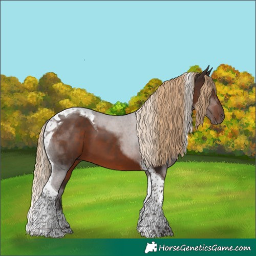 Horse Color:Liver Chestnut Tobiano