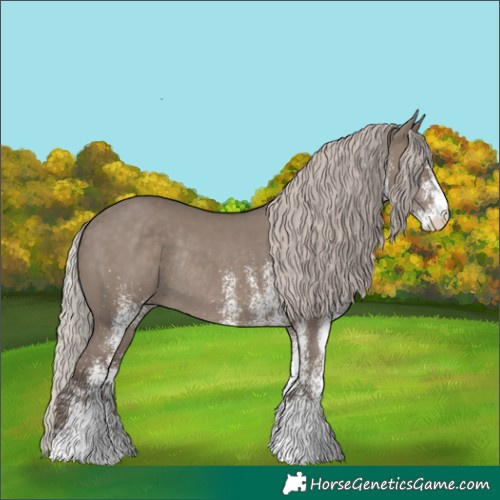 Horse Color:White Spotted Silver Grullo Rabicano