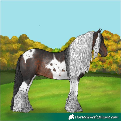 Horse Color:Brown Tobiano Rabicano 