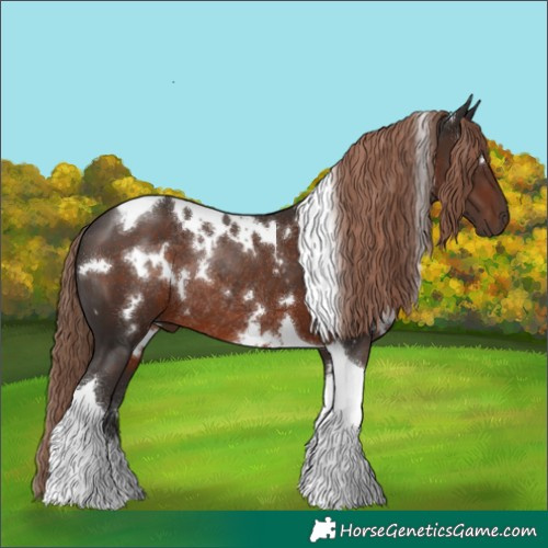 Horse Color:White Spotted Liver Chestnut Tobiano Rabicano