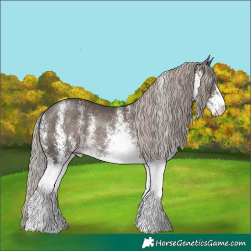 Horse Color:White Spotted Silver Black Rabicano