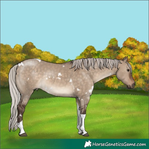 Horse Color:White Spotted Silver Brown Dun Tobiano Rabicano