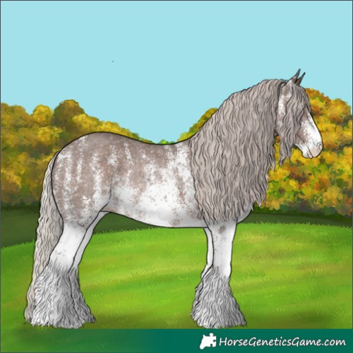 Horse Color:White Spotted Silver Black Rabicano
