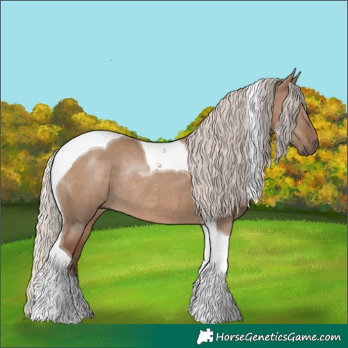 Horse Color:Silver Grullo Tobiano Rabicano 