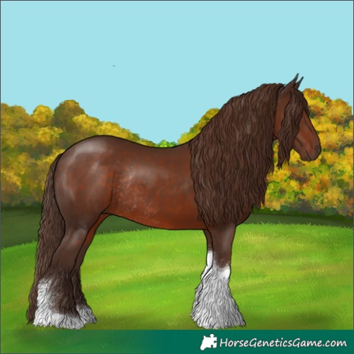 Horse Color:Liver Chestnut Tobiano Rabicano