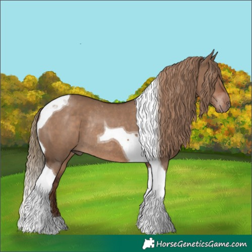 Horse Color:Liver Red Dun Tobiano Rabicano 