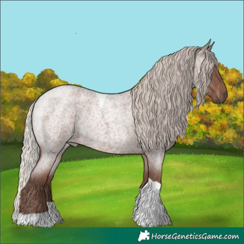 Horse Color:Silver Blue Roan Tobiano Rabicano 