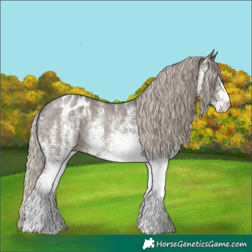 Horse Color:White Spotted Silver Black Appaloosa Rabicano