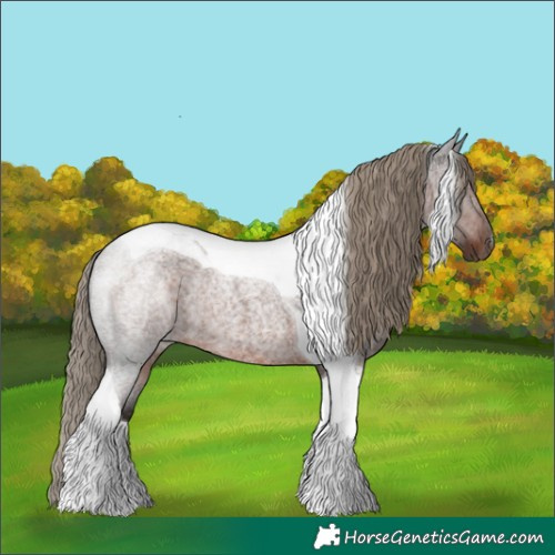 Horse Color:Liver Red Roan Tobiano Rabicano 