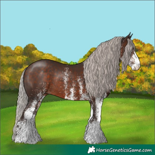 Horse Color:White Spotted Silver Brown Rabicano 