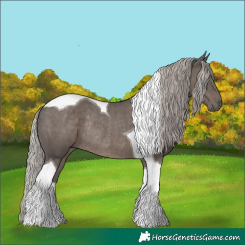 Horse Color:Silver Black Tobiano Rabicano 