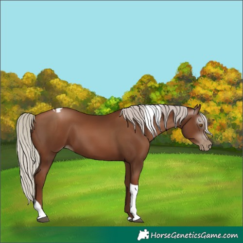 Horse Color:Gray Silver Black Pearl Tobiano 