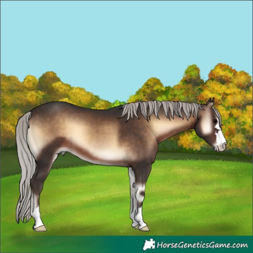 Horse Color:Silver Brown Onyx 