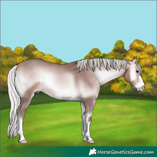 Horse Color:Platinum Silver Bay Onyx