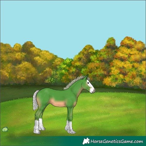 Horse Color:Unknown 