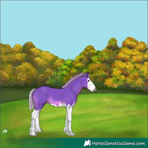 Horse Color:Unknown 