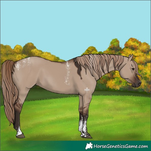 Horse Color:Powder White Liver Red Dun 
