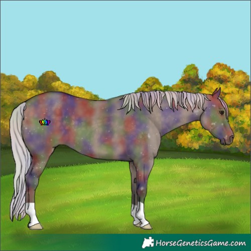 Horse Color:Nacre Silver Brown Dun 