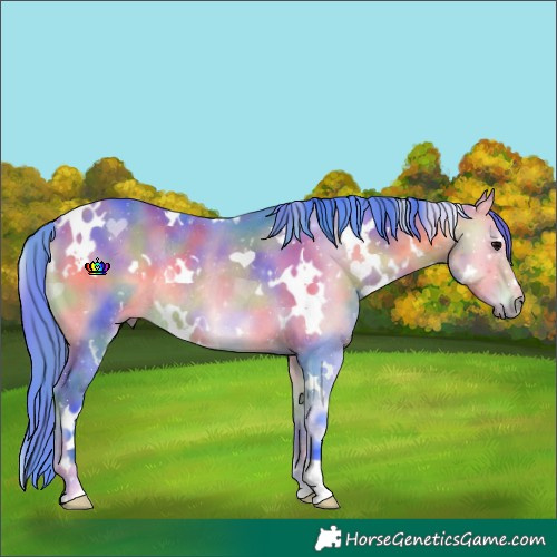 Horse Color:Nacre Watercolor White Spotted Buckskin Onyx Rabicano