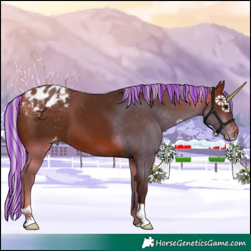 Horse Color:Painted Silver Bay Blanket
