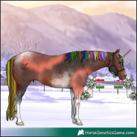 Horse Color:Painted Brown Tobiano 