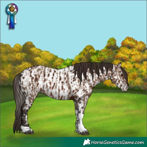 Horse Color:Liver Red Dun Tobiano and Liver Chestnut Tobiano Appaloosa