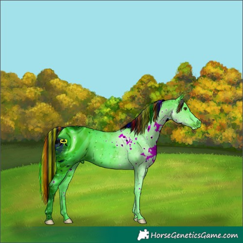 Horse Color:ERROR: UNKNOWN ANOMALY
