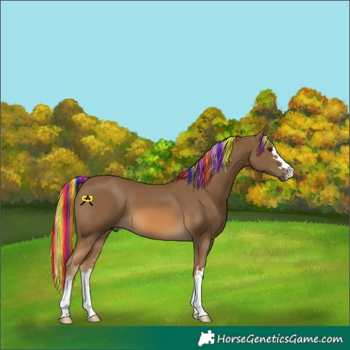 Horse Color:Painted Chocolate Palomino 