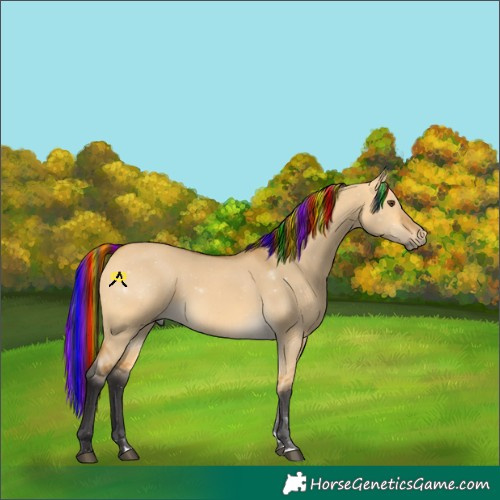 Horse Color:Painted Buckskin Dun