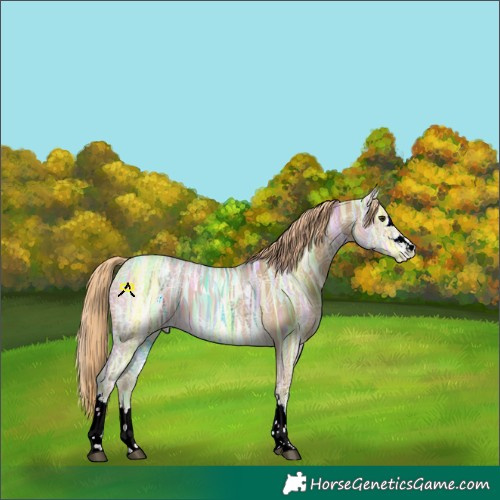 Horse Color:Chocolate Palomino Ice Dun
