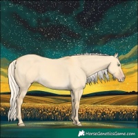 Horse Color:Gold Cream Champagne Dun 