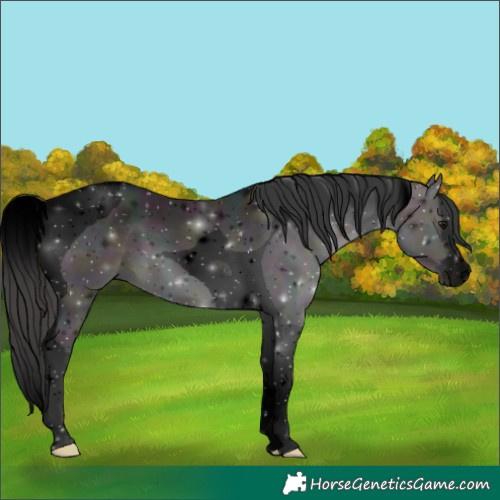 Horse Color:Void Platinum Midnight Bay Splash Tobiano