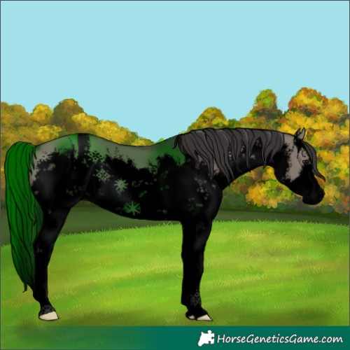 Horse Color:Void Platinum White Spotted Smoky Grullo