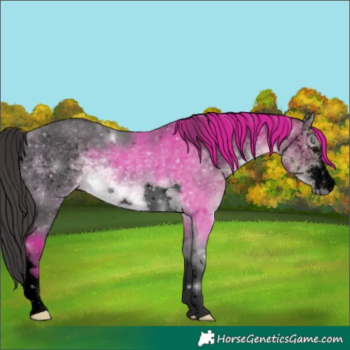 Horse Color:Void Platinum Buckskin 