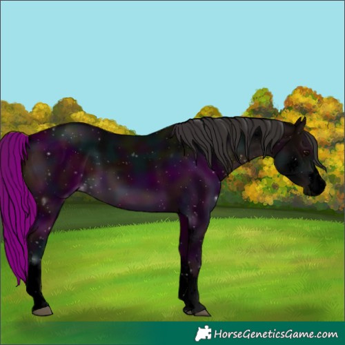 Horse Color:Void Midnight Brown 