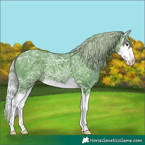Horse Color:Watercolor Silver Brown Ice Splash 