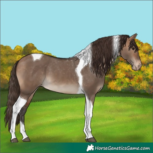 Horse Color:Bay Dun Tobiano Varnish 