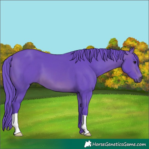 Horse Color:Watercolor Brown