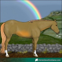 Horse Color:Watercolor Chestnut 