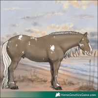 Horse Color:White Spotted Silver Smoky Black Splash 