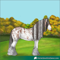 Horse Color:Bay Sabino Rabicano  and Bay Sabino Rabicano 