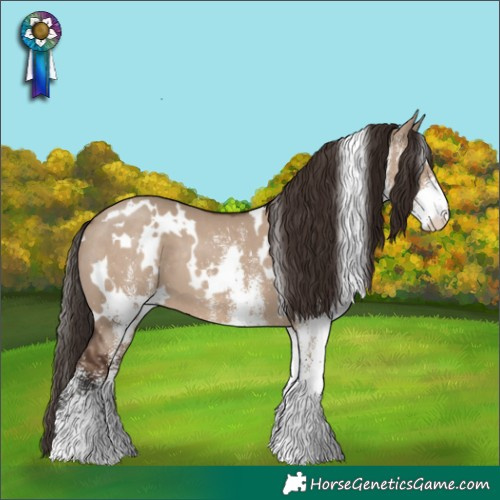 Horse Color:White Spotted Liver Red Dun