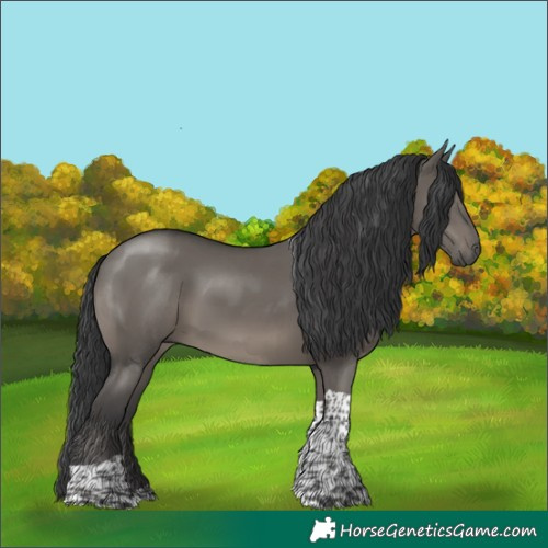 Horse Color:Grullo Tobiano