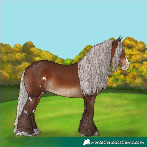 Horse Color:White Spotted Silver Brown Splash 