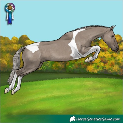 Horse Color:Silver Grullo Tobiano